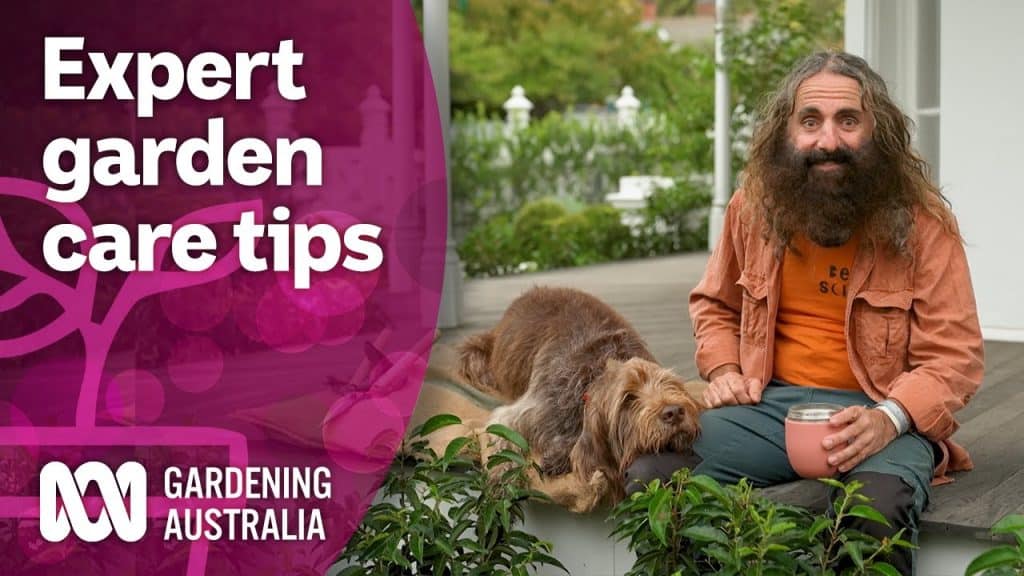 Best Gardening Tips Australia