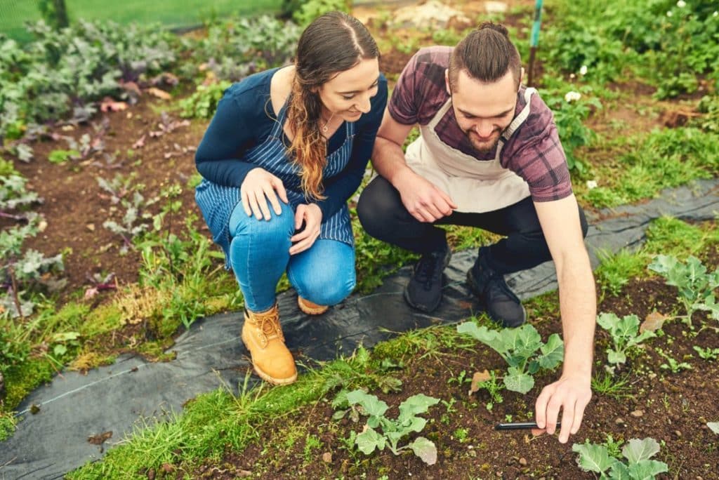 Best Gardening Tips on Instagram