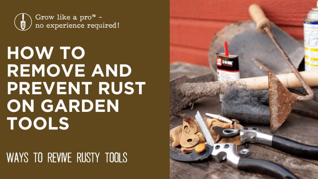 Best Way to Keep Garden Tools from Rusting