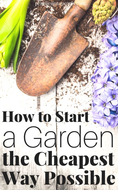 Cheapest Gardening Tips