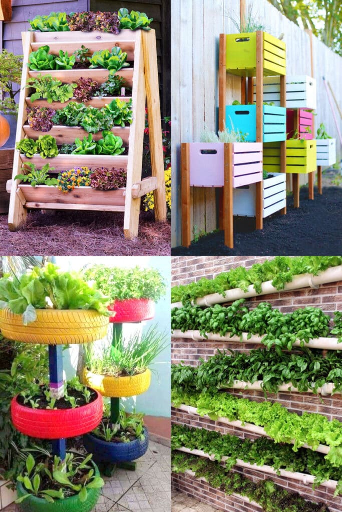 Creative Vegetable Garden Design