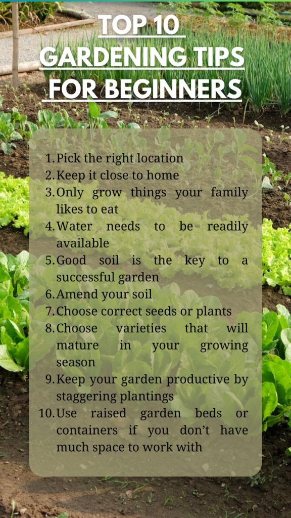 Good Gardening Tips for Beginners