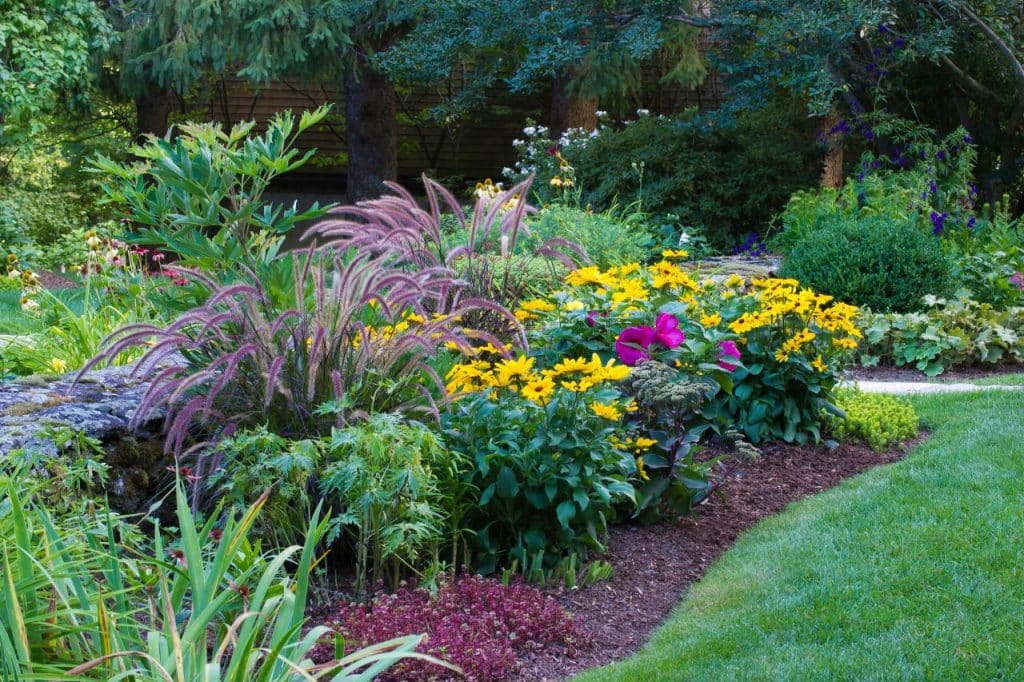 How to Design a Perennial Garden