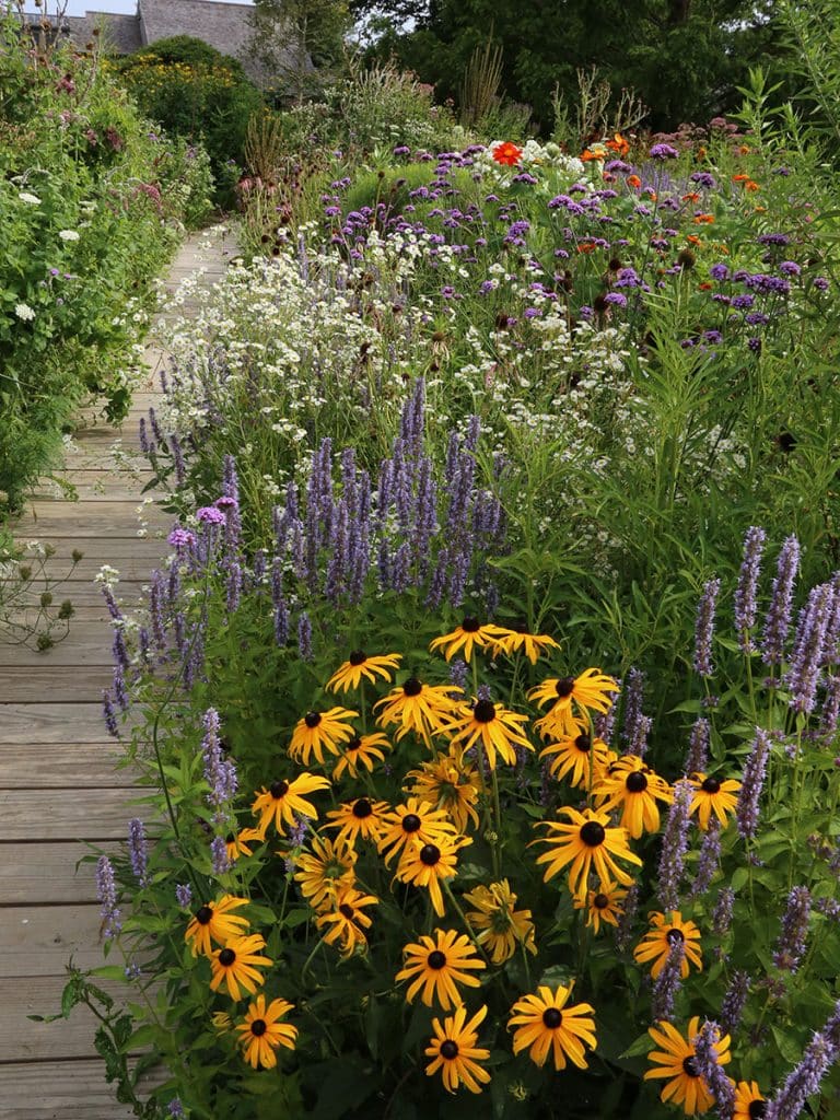 How to Design a Pollinator Garden