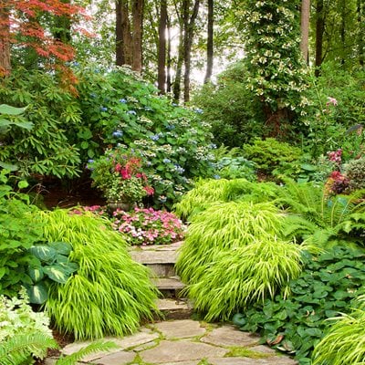 How to Design a Shade Garden