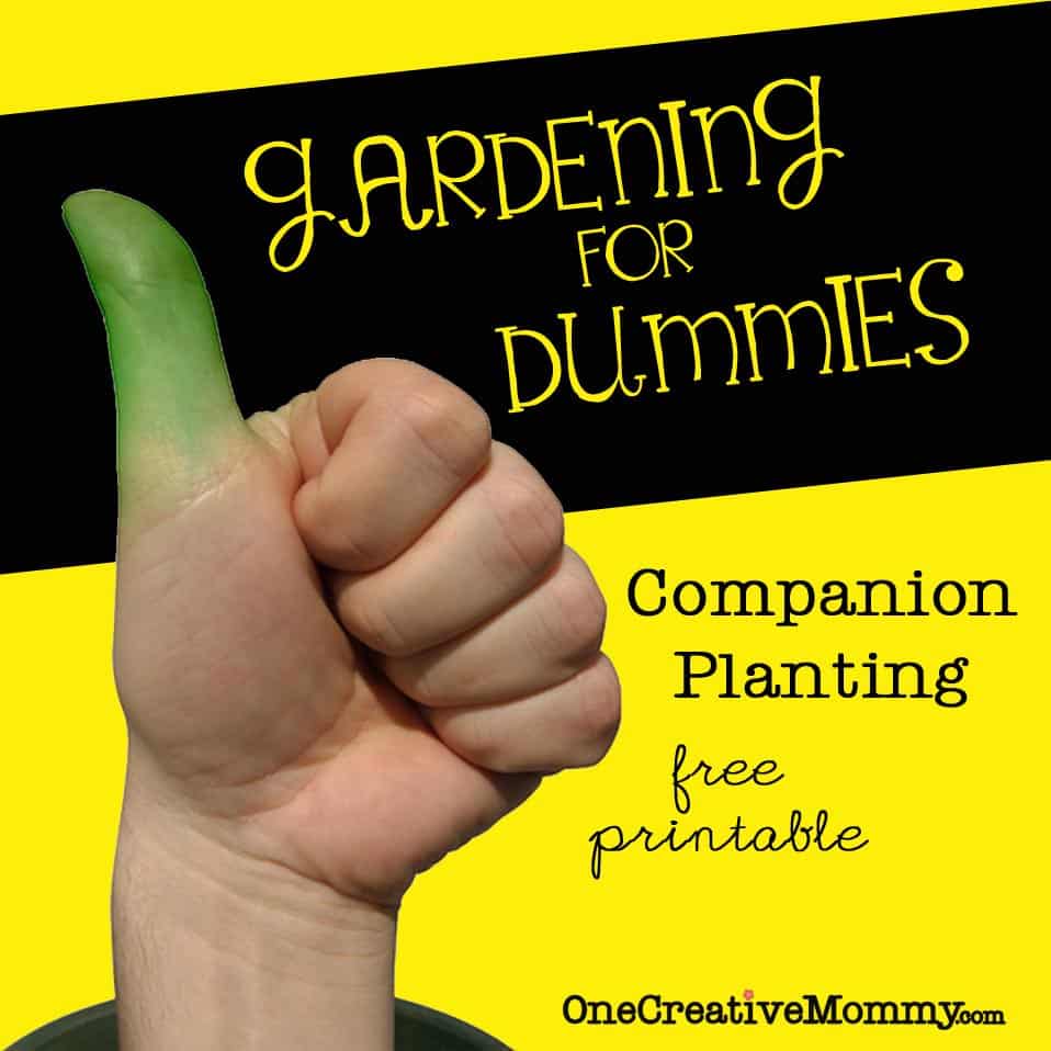 How to Grow a Garden for Dummies