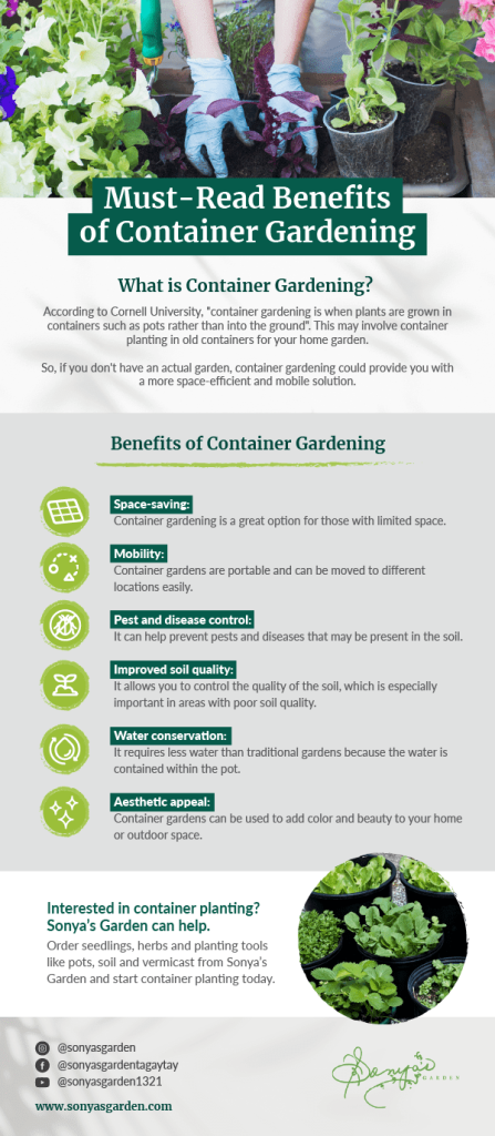 What are the Benefits of Container Gardening